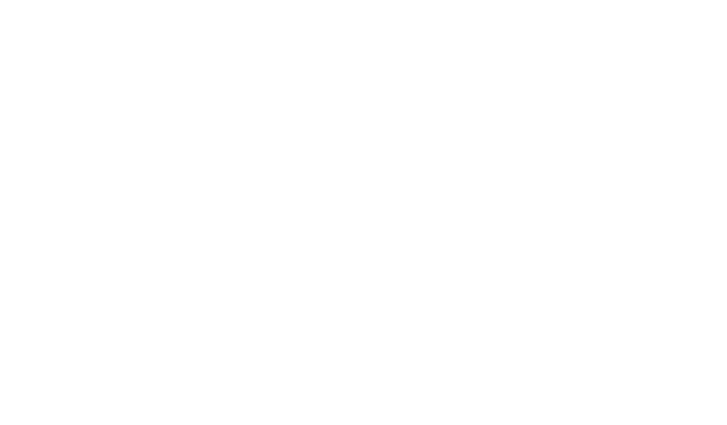BIWA100 ULTRAWALK